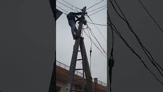 ??? ख़तरे भरी जिंदगी लाइनमैन की Shorts video viral electricity ?????????????