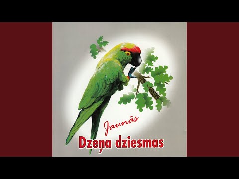 Mazā Ģilde — Dārziņš