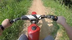 1981 Ds100 white rose 2017