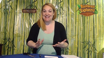 Lesson 2 Bible Challenge Video | Rainforest Explorers Digital VBS