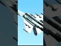 SU-27 Cipher/Ace Combat Zero The Belkan War/#acecombatzero #acecombat #retrogaming #shorts