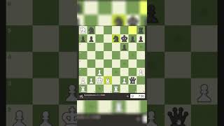 I Played Chess