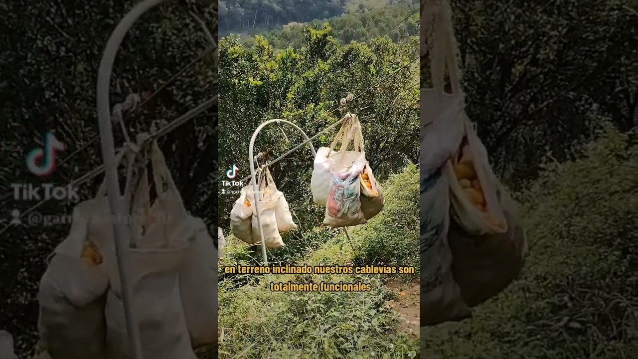 Cable vía para transporte de cosecha agrícola en terreno inclinado