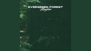 Evergreen Forest