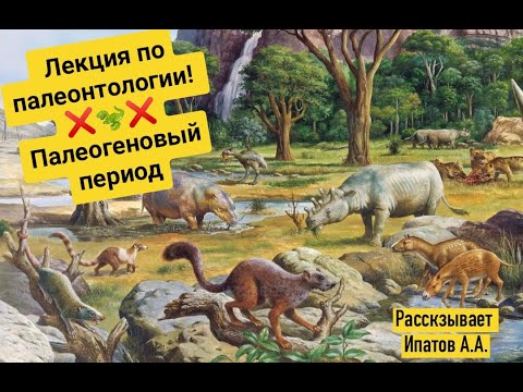 Палеогеновый период | Александр Ипатов