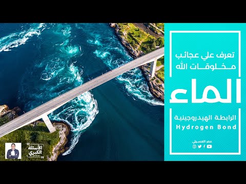 قصة بداية الخلق الماء الأسئلة الكبري عمر العسيلي