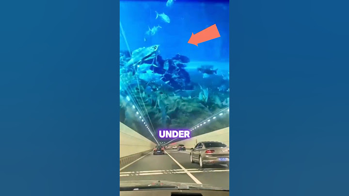 This Tunnel Opened the Same Day as a World Record?! 🤯 #shorts