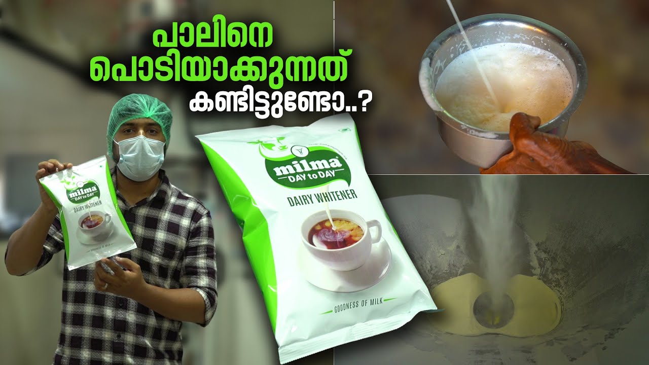 പാലിനെ പൊടിയാക്കുന്നത് കണ്ടിട്ടുണ്ടോ | Milma Milk Powder Factory | Milk Powder Making | Malapuram