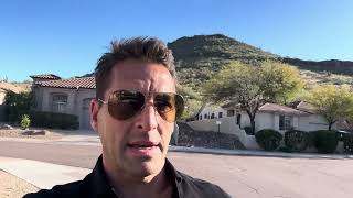 If Birds Could Talk Yo Keep Walking Pal