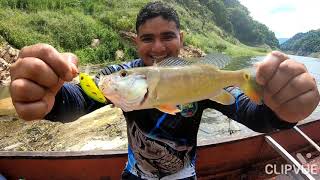 pescado tucunares (represa topocoro)