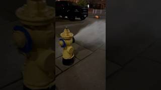 Did this fire hydrant EXPLODE! There’s so much water pouring out the gutters are gushing! #toronto