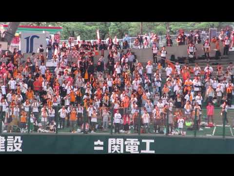 輝く夕日浴びてライトスタンドが美しい 読売ジャイアンツ応援団