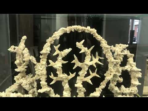 Tree of Life, built for their lobby