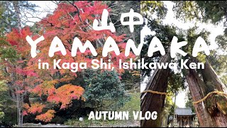 Yamanaka Autumn | 053 VLOG