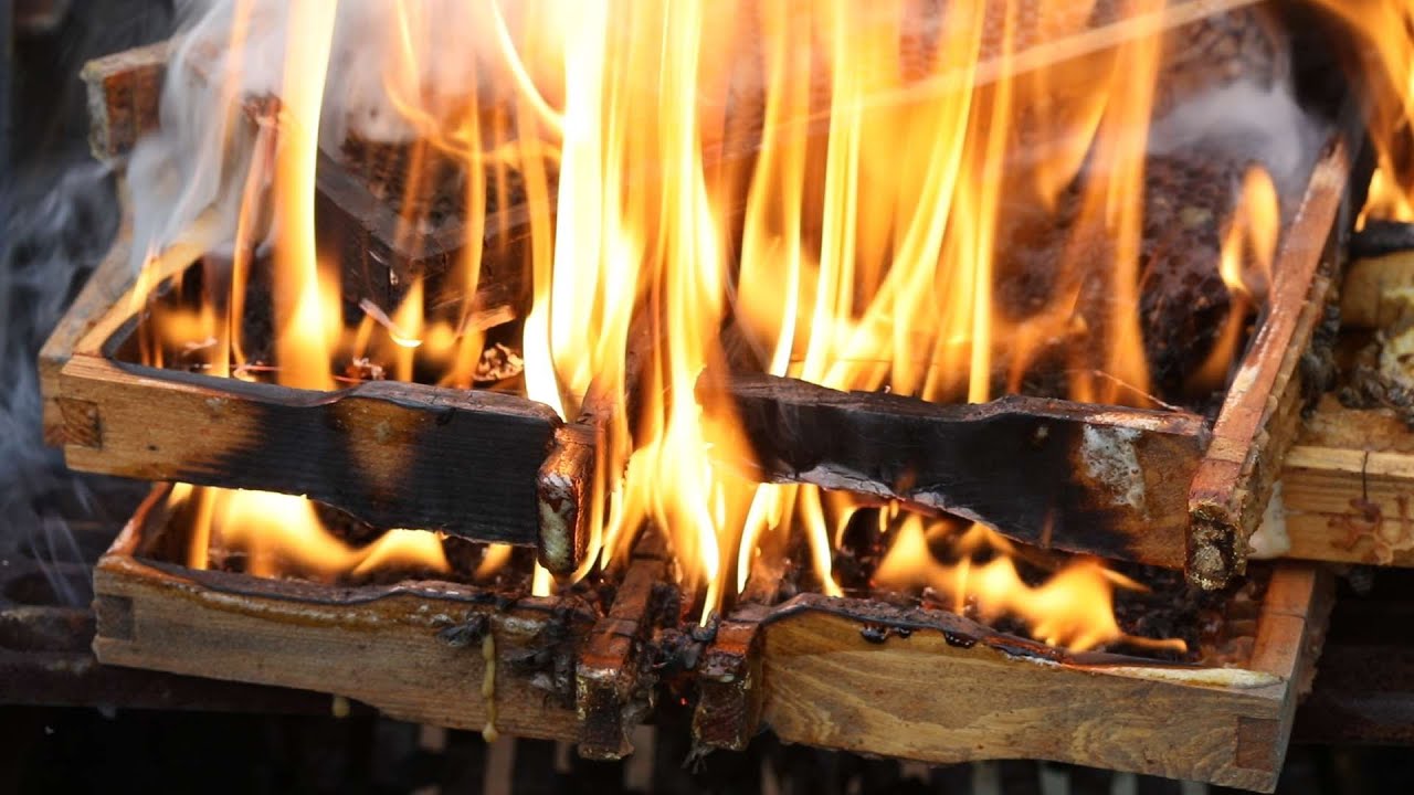 ABC pasieki cz. 17 - ramki po osypanych rodzinach