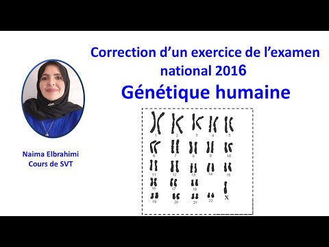 SVT 2Bac Biof Correction Examen National Génétique Humaine Allèle Morbide Récessif Turner 