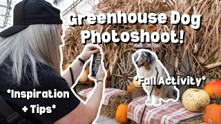 DIY Fall Photoshoot with your dog:  Greenhouse tips and tricks!