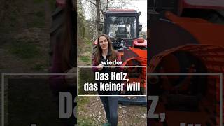 Schwachholz aus der Waldpflege. Dünne Stämme, die dein Sägespaltautomat nicht wirtschaftlich kann.