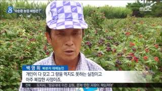 전주MBC 2016년 6월 29일 뉴스데스크