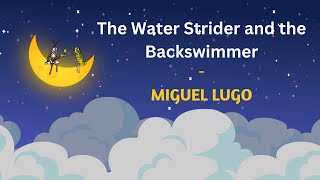 The Water Strider and the Backswimmer (Hemiptera) - a Musical Love Story