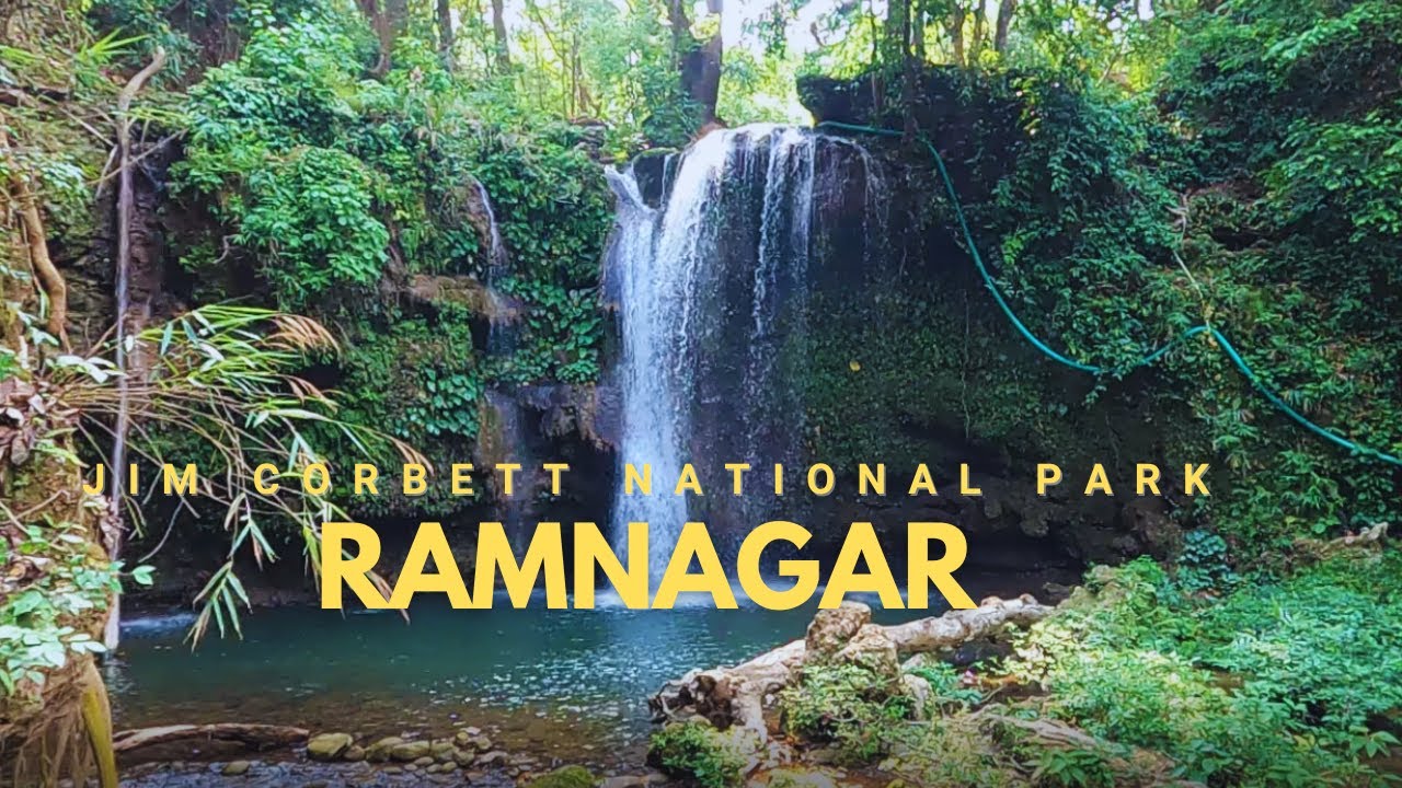 - “Jim Corbett Travel Vlog  Hidden Gems & Jungle Thrills”