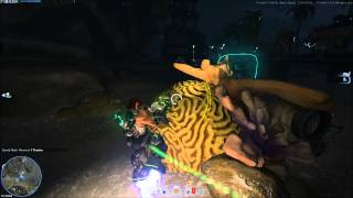 Firefall test record