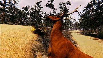 Medieval RPG Sandbox: Devlog #7