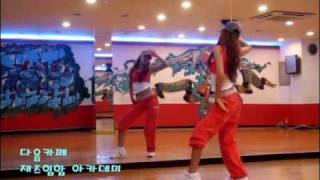 Kara-Mister(dance tutorial part1)