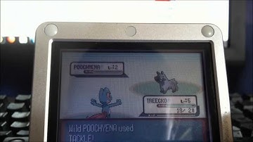 Shiny Treecko on Ruby after 1334 SRs!!!