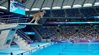 Kan En Las Olympiadas De Salto A La Pisicna