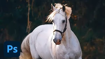 Photoshop Daily Creative Challenge - Natural Selections | Adobe Creative Cloud