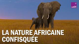 Le "colonialisme vert" : la nature africaine confisquée