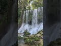 Сила водопада: природа в движении.    The Power of the Waterfall: Nature in Motion