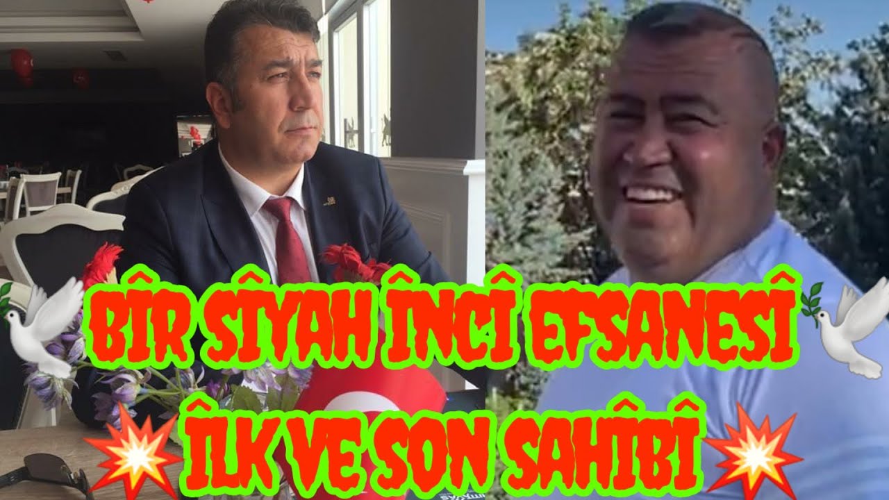 ?️TAKLACI PIGEON ИГРОВАЯ ПТИЦА ?UNAL AYNACIOĞLU ANKARA?