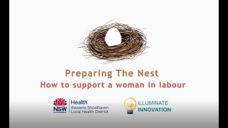 Preparing the Nest: How to support a woman in labour