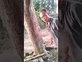 perjalanan haji jalan kaki