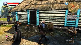witcher 3 frame stuter and hangs 2