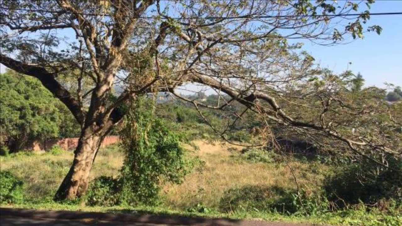 Vacant Land For Sale in Amanzimtoti, KwaZulu Natal, South Africa for