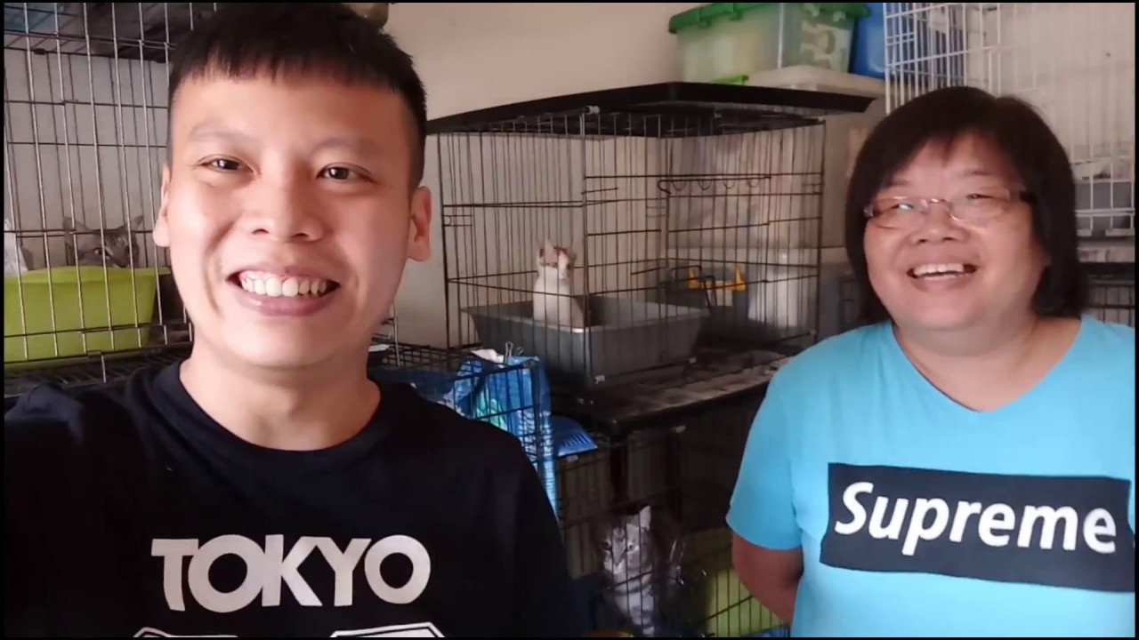 Animal Food Bank Malaysia donated 30kg cat food sponsored by Uncle Paul