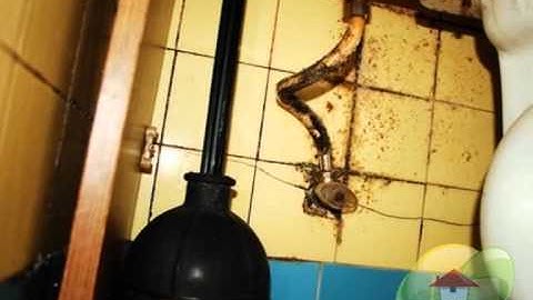 How to diagnose Mold