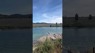 #nature #montana a beautiful spring fed #lake