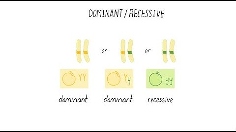 Heredity Part 1: Genes and Traits