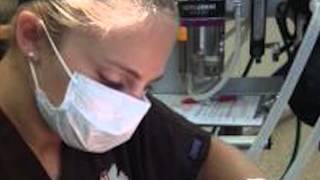 Northern Michigan Veterinary Hospital