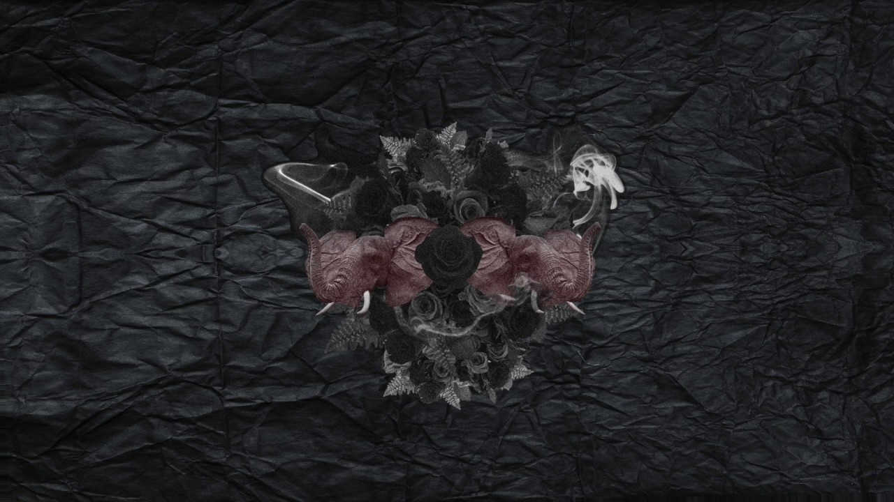 Susio - Elephant (Original Mix)