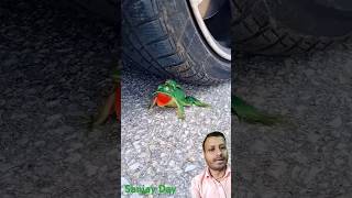 Crushing Of Soft And Crunchy Food By Car Car. Crushing