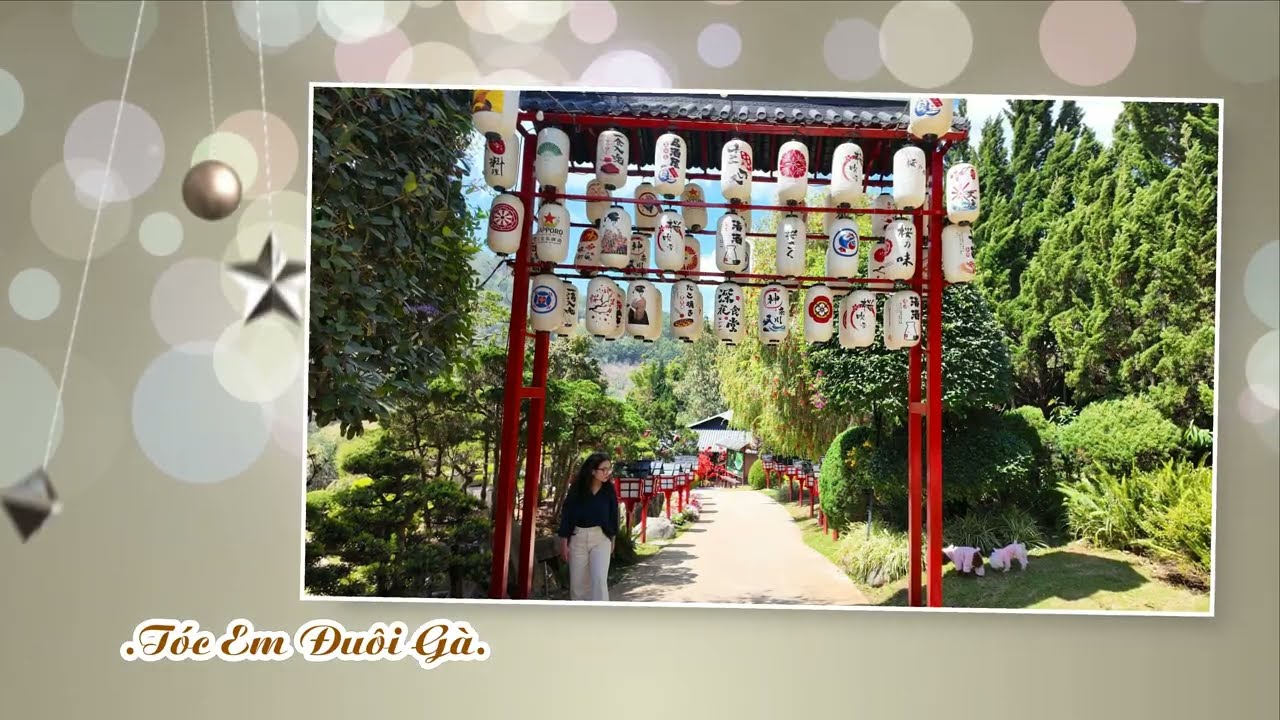 Hoà Tấu. Lk  Cha Cha Cha .( Nguyễn Hoàng)