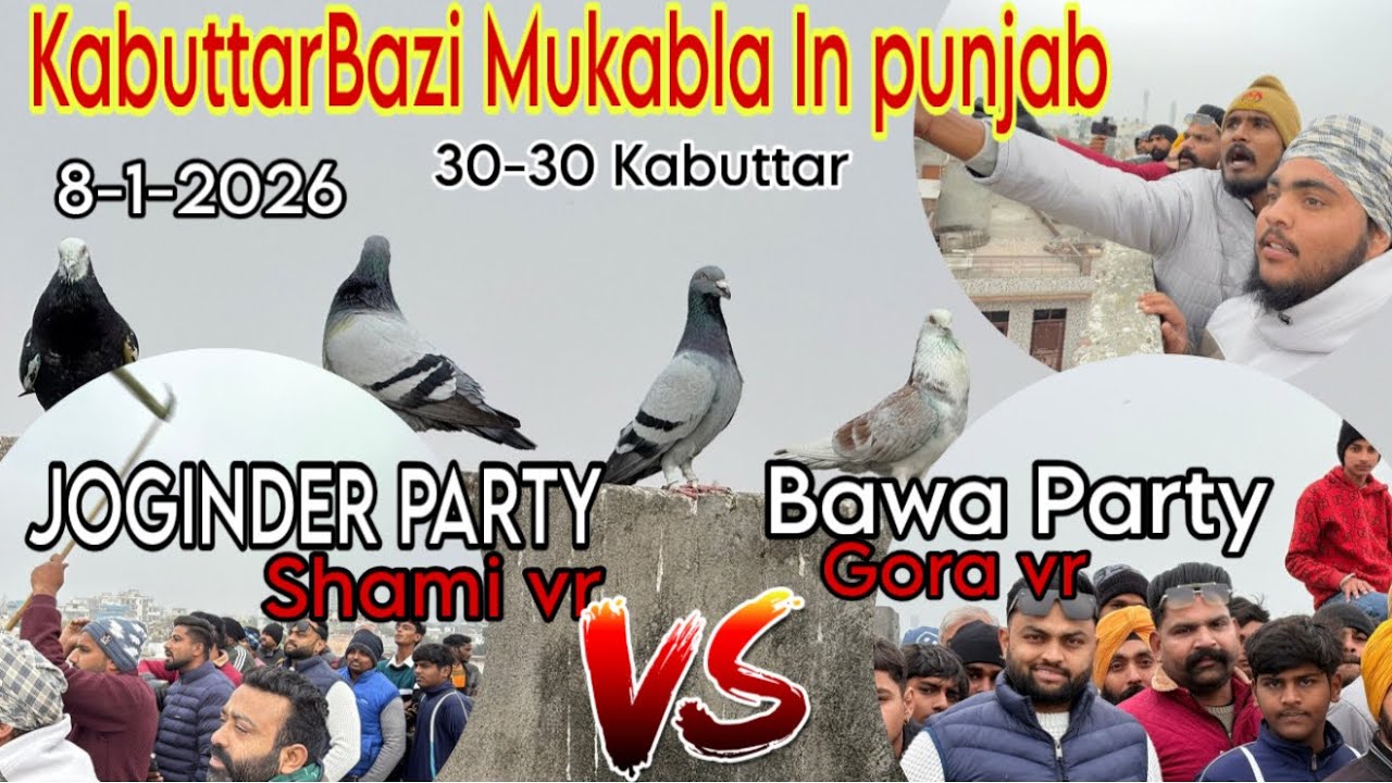 PIGEON RACE IN PUNJAB 30-30 Kabuttarbazi Mukala 
