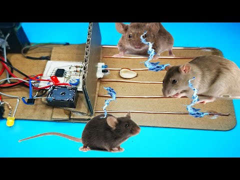 how to make electric mouse rat trap / high voltage, Simple Inventions