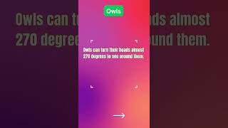 Fun General Knowledge for Kids! 🤓🌍 | Learn in Seconds! Set 46