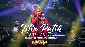 LILIN-LILIN PUTIH - EVI TAMALA NEW PALLAPA